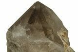 Huge Smoky Quartz Crystal on Metal Stand - Brazil #219132-6